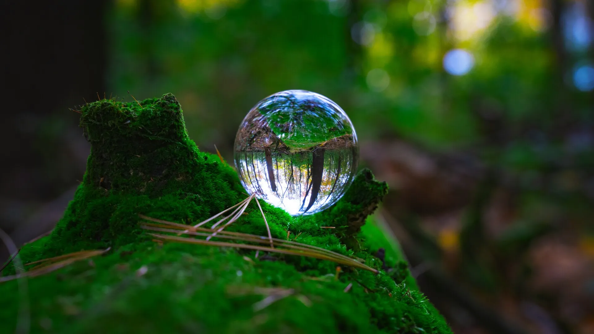 Sustainable Fashion Tech